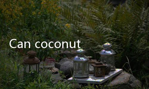 【Online Casino Cash Games】Can coconut meat be eaten if it has been stored in the refrigerator for 5 days?