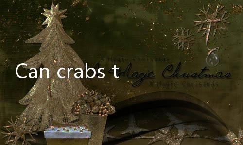 【Top Casino Promotions India】Can crabs that spit bubbles still be eaten?